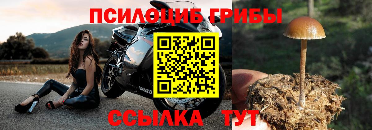 купить закладку  Псилоцибиновые грибы Psilocybe  Галлюциногенные грибы Cubensis  Вход с VPN  Саратов 